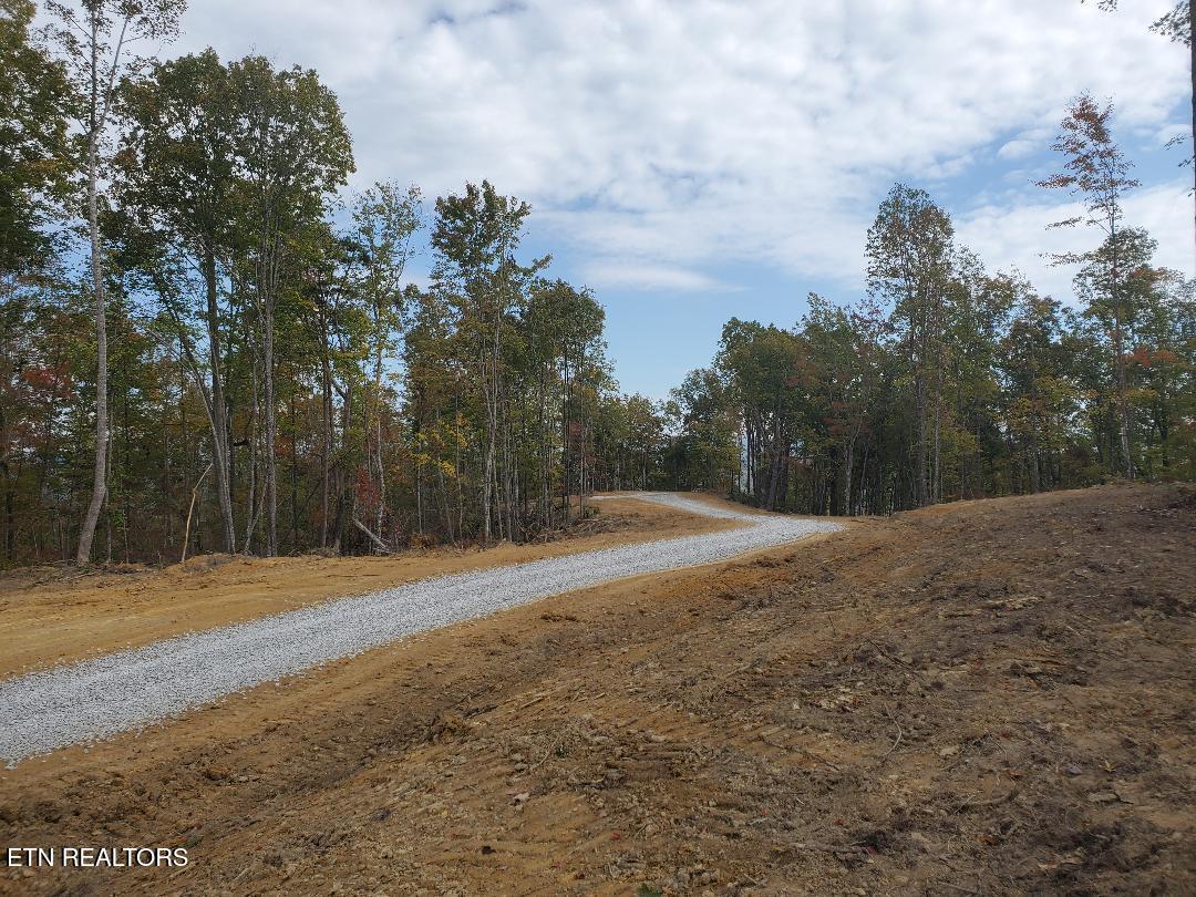 Hilltop Street Huntsville, TN 37756 - Photo 10 of 12 thumbnail (4)