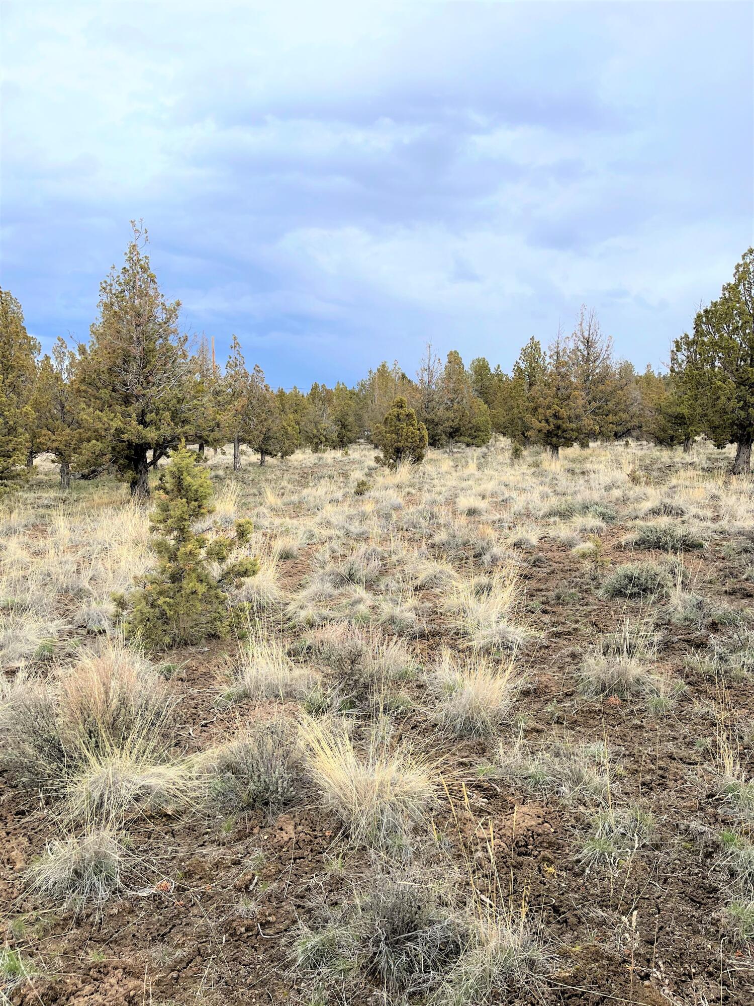 0 South E Pawnee Loop Prineville, OR 97754 - Photo 2 of 2 Pawnee 2