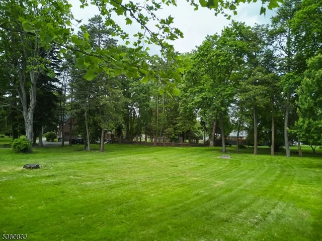 a view of a trees in a park