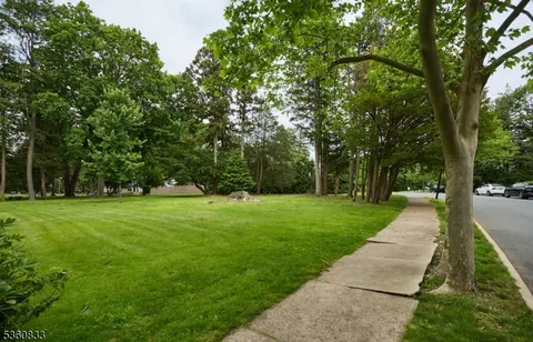 a view of a park with large trees