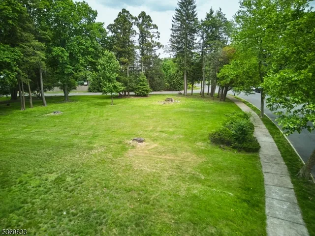 a view of a park with large trees