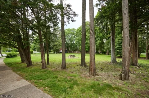 a view of outdoor space with trees