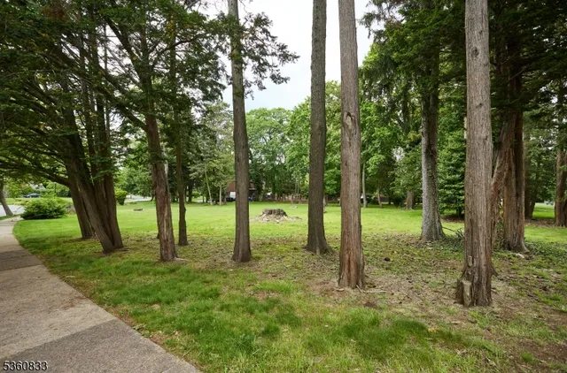 a view of outdoor space with trees