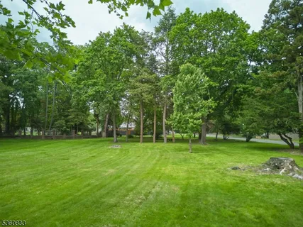 a view of a grassy field with trees in the background