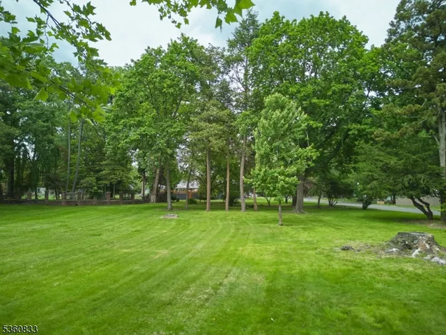 a view of a grassy field with trees in the background
