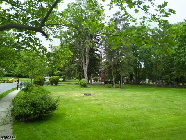 a green field with lots of trees in it