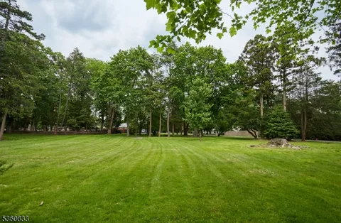a view of a trees in a park
