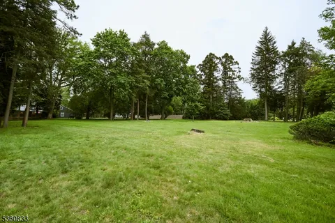 a view of green field with trees in the background