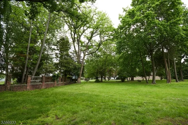 a view of a park with large trees