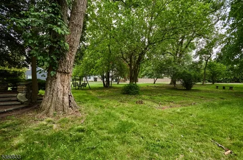 a view of a park with a tree