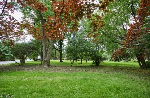 a view of green field with trees