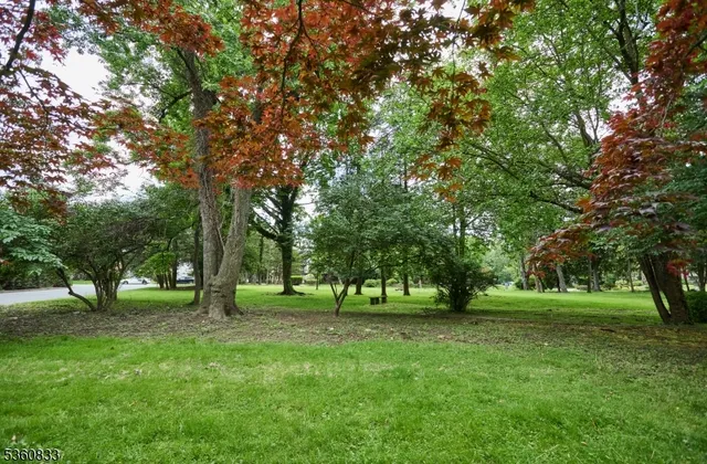 a view of green field with trees