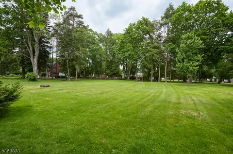 a view of a grassy field with trees