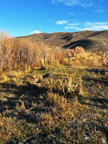 900 West Smit Road Georgetown, ID 83239 - Photo 52 of 52