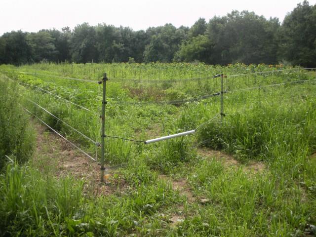 1 Ox Hill Road Newtown, CT 06470 - Photo 1 of 1 Gallery Image 1