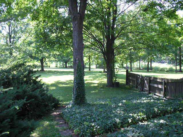 955 Cole Road Galloway, OH 43119 - Photo 24 of 25 Gallery Image 24