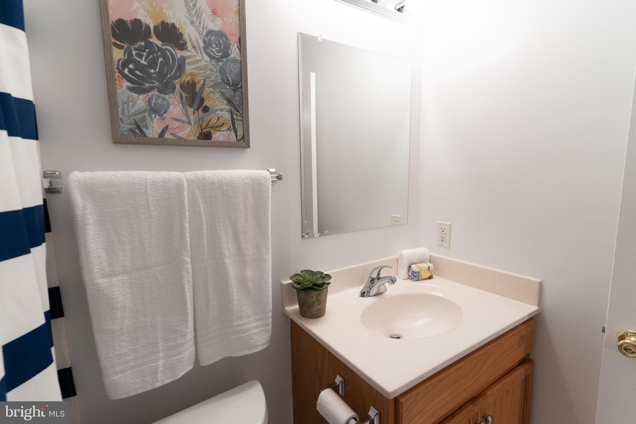 11004 Hemingway Court Silver Spring, MD 20902 - Photo 20 of 23 Full Bath #3