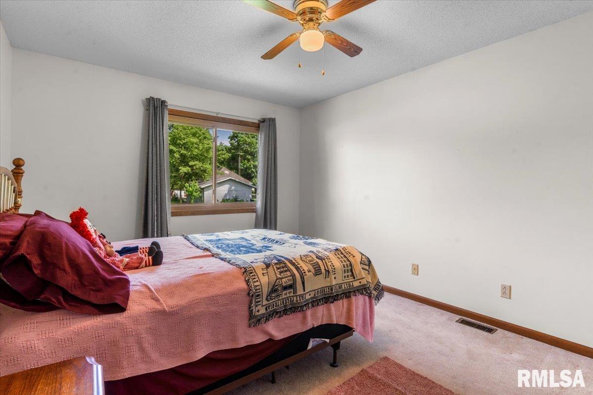518 North Springfield Street Virden, IL 62690 - Photo 14 of 25