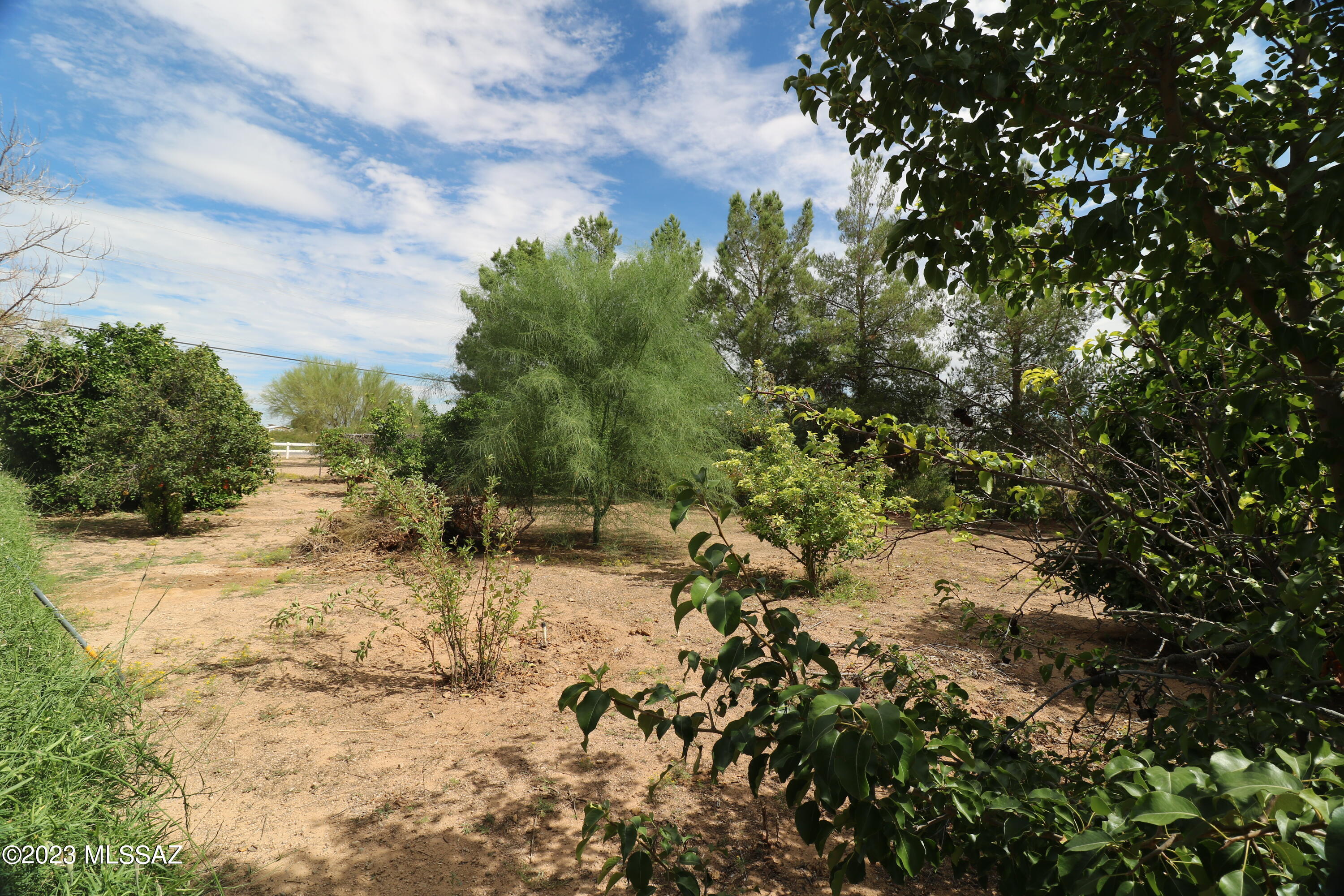 12481 West Mile Wide Road Tucson, AZ 85743 - Photo 21 of 36 Gallery Image 21