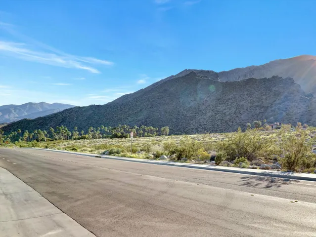 a view of a palm trees