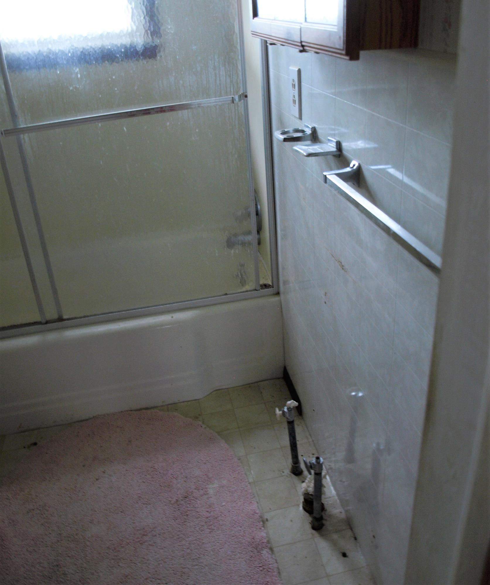 401 Culver Road Limestone, TN 37681 - Photo 16 of 21 2 Bathroom no sink
