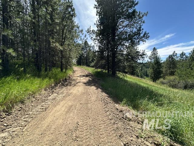0 Parkins Road Troy, ID 83871 - Photo 7 of 33