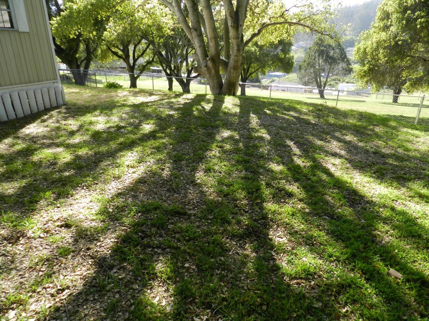 17653 Vierra Canyon Road Salinas, CA 93907 - Photo 24 of 100 a view of yard with trees