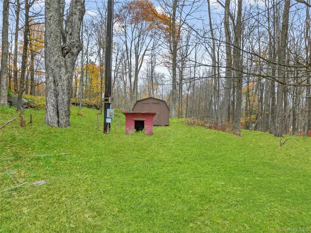 a view of a backyard with a garden and plants