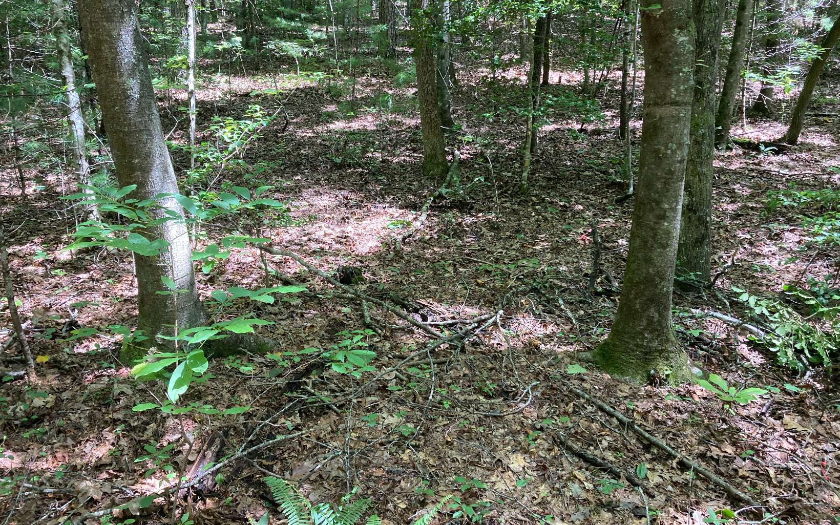 0 Liberty Road Murphy, NC 28906 - Photo 1 of 16 Main View