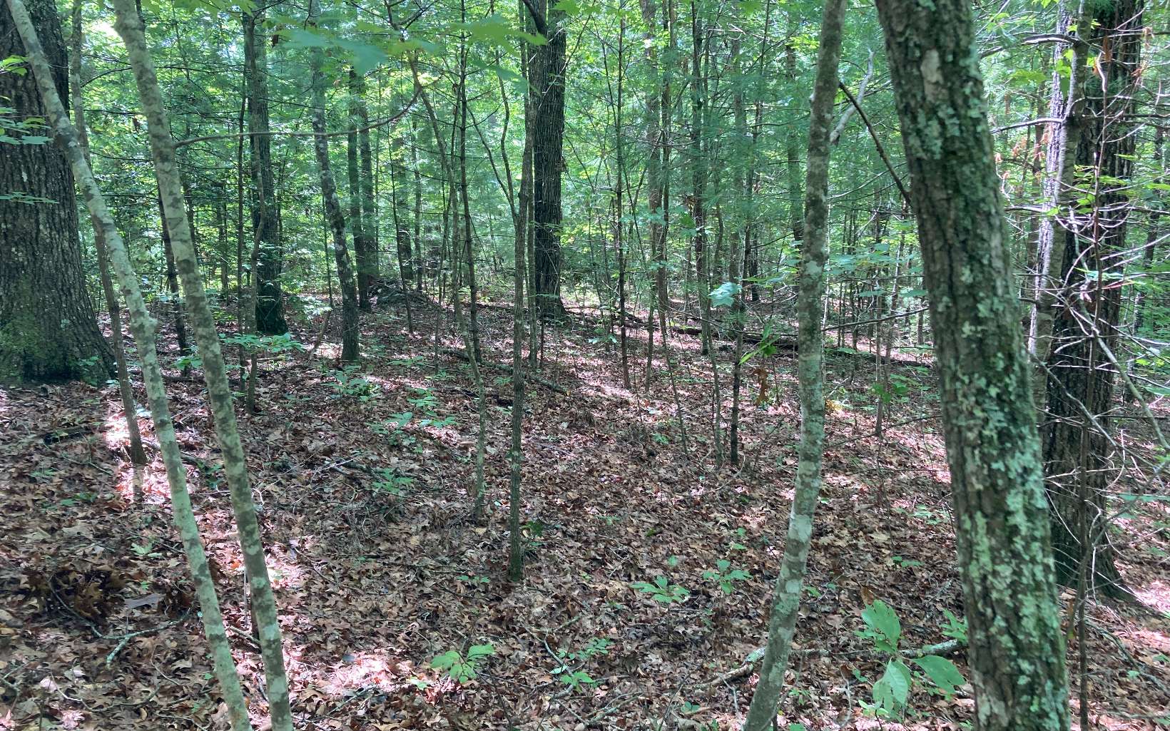 0 Liberty Road Murphy, NC 28906 - Photo 12 of 16 Additional View