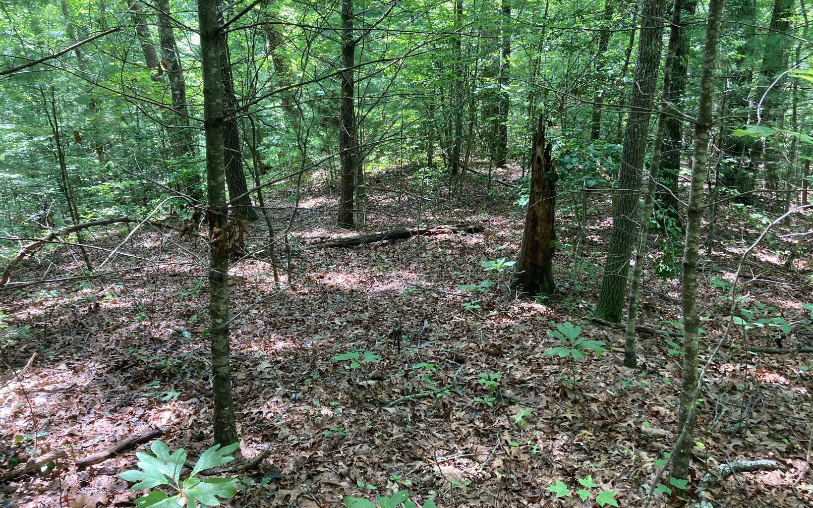 0 Liberty Road Murphy, NC 28906 - Photo 13 of 16 Additional View