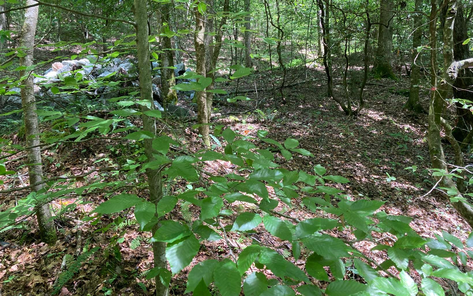 0 Liberty Road Murphy, NC 28906 - Photo 8 of 16 Additional View