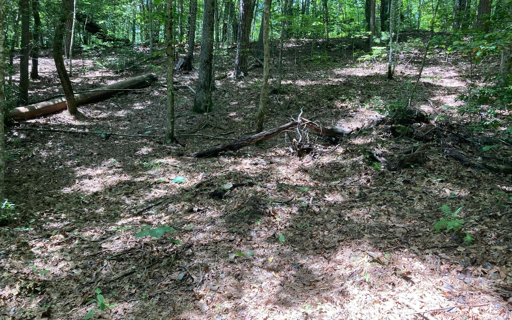 0 Liberty Road Murphy, NC 28906 - Photo 10 of 16 Additional View