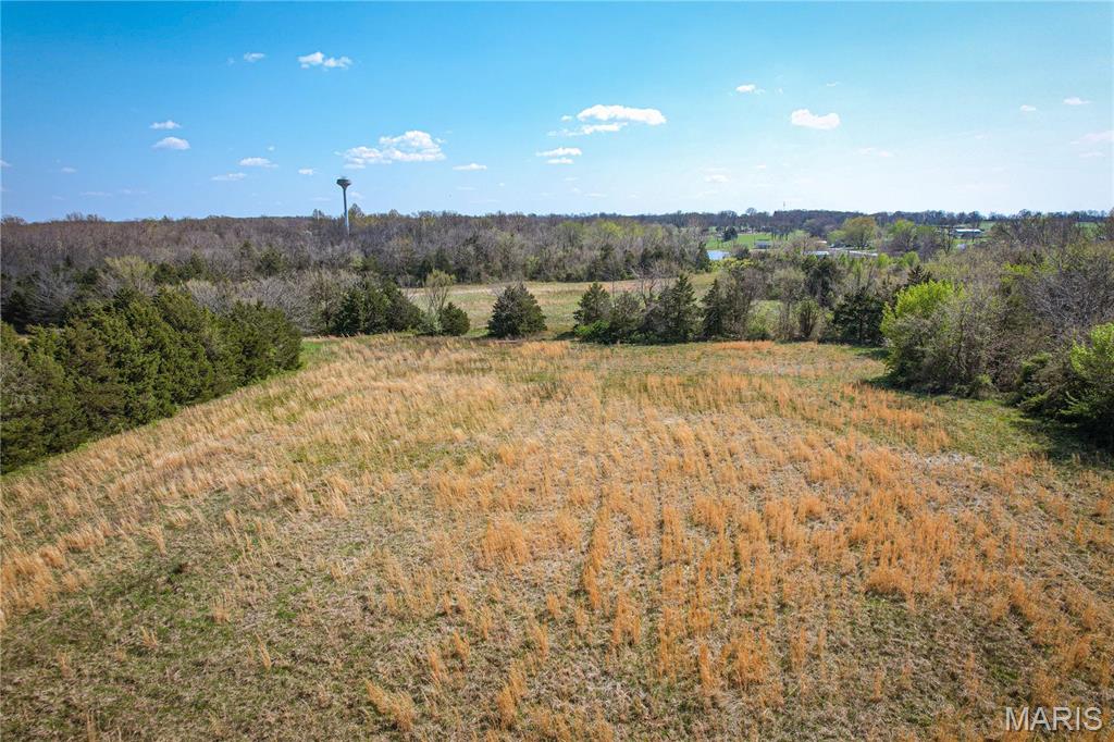 0 Maple Conway, MO 65632 - Photo 9 of 22