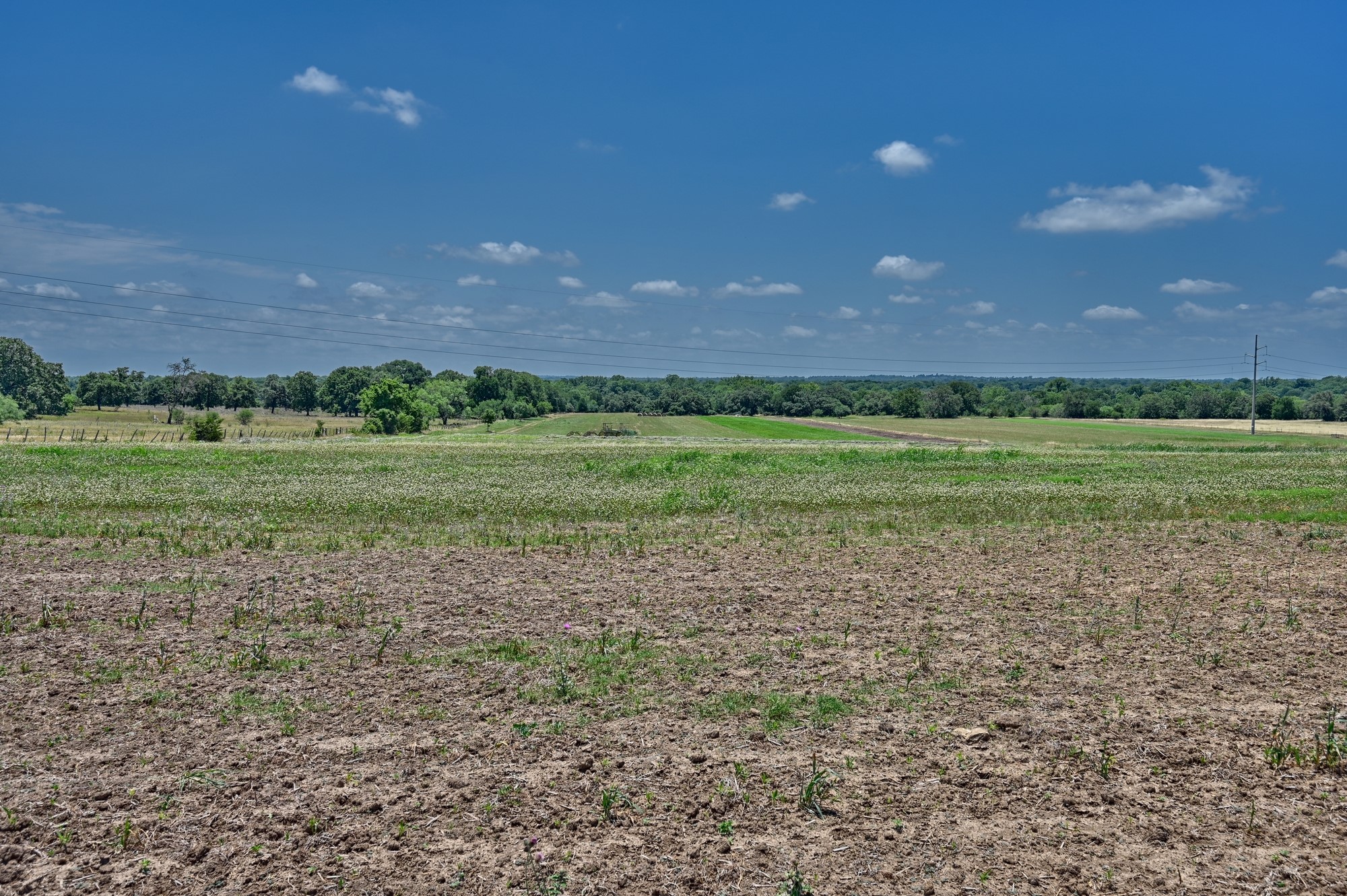 6238 Kovar Road Fayetteville, TX 78940 - Photo 11 of 28