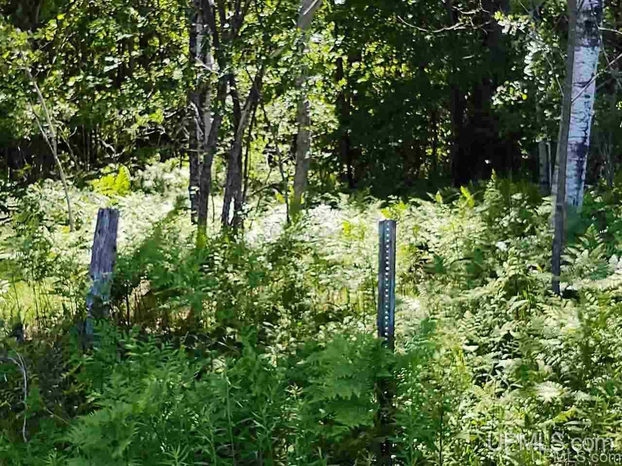 Tbd Tbd Indian Cemetery Road Lanse, MI 49946 - Photo 40 of 40