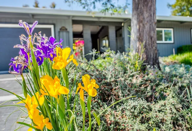 a front view of a house with garden