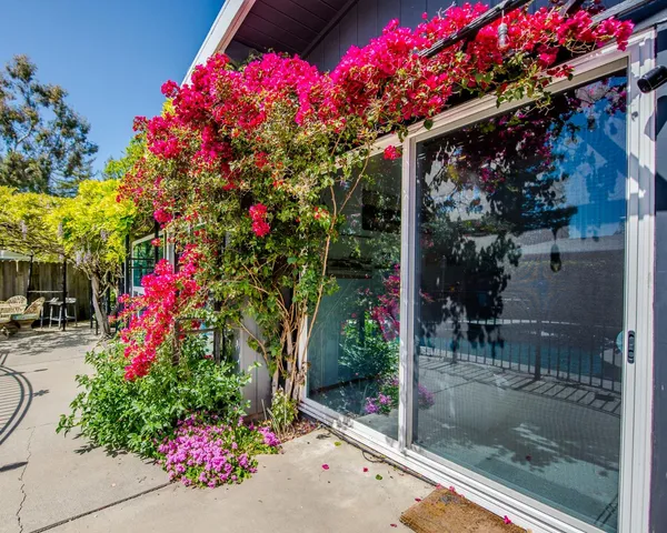 a view of outdoor space yard and porch