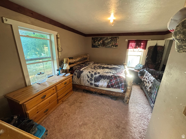 102 South Main Street Paris, ID 83261 - Photo 16 of 33 Bedroom with light carpet and a textured ceiling