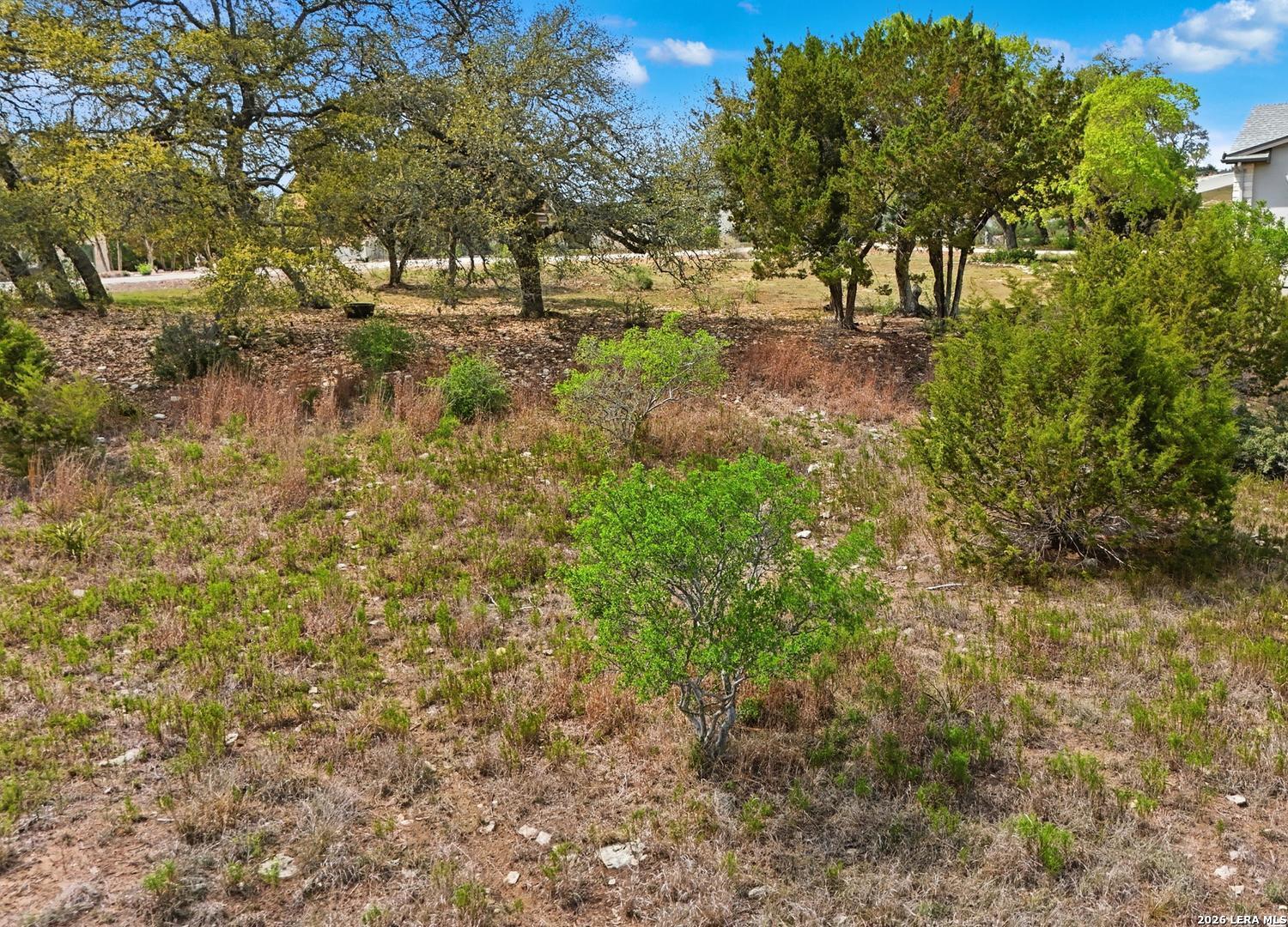 1033 Bluewater Place Spring Branch, TX 78070 - Photo 6 of 25 a view of yard with trees
