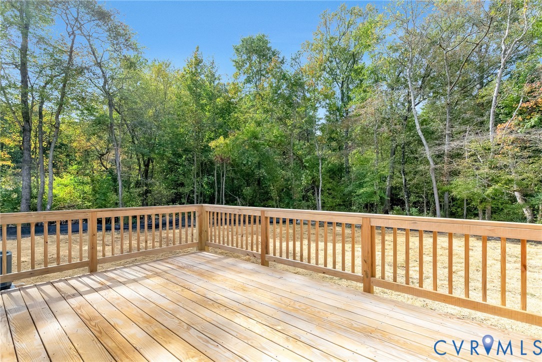 29080 Gregory Road Ruther Glen, VA 22546 - Photo 33 of 38 Gallery Image 33