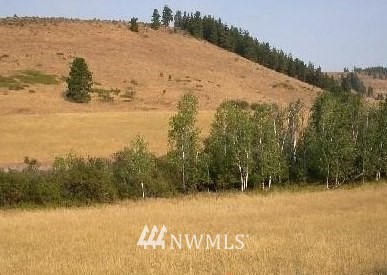 106 Low Road Cle Elum, WA 98922 - Photo 1 of 1 Gallery Image 1