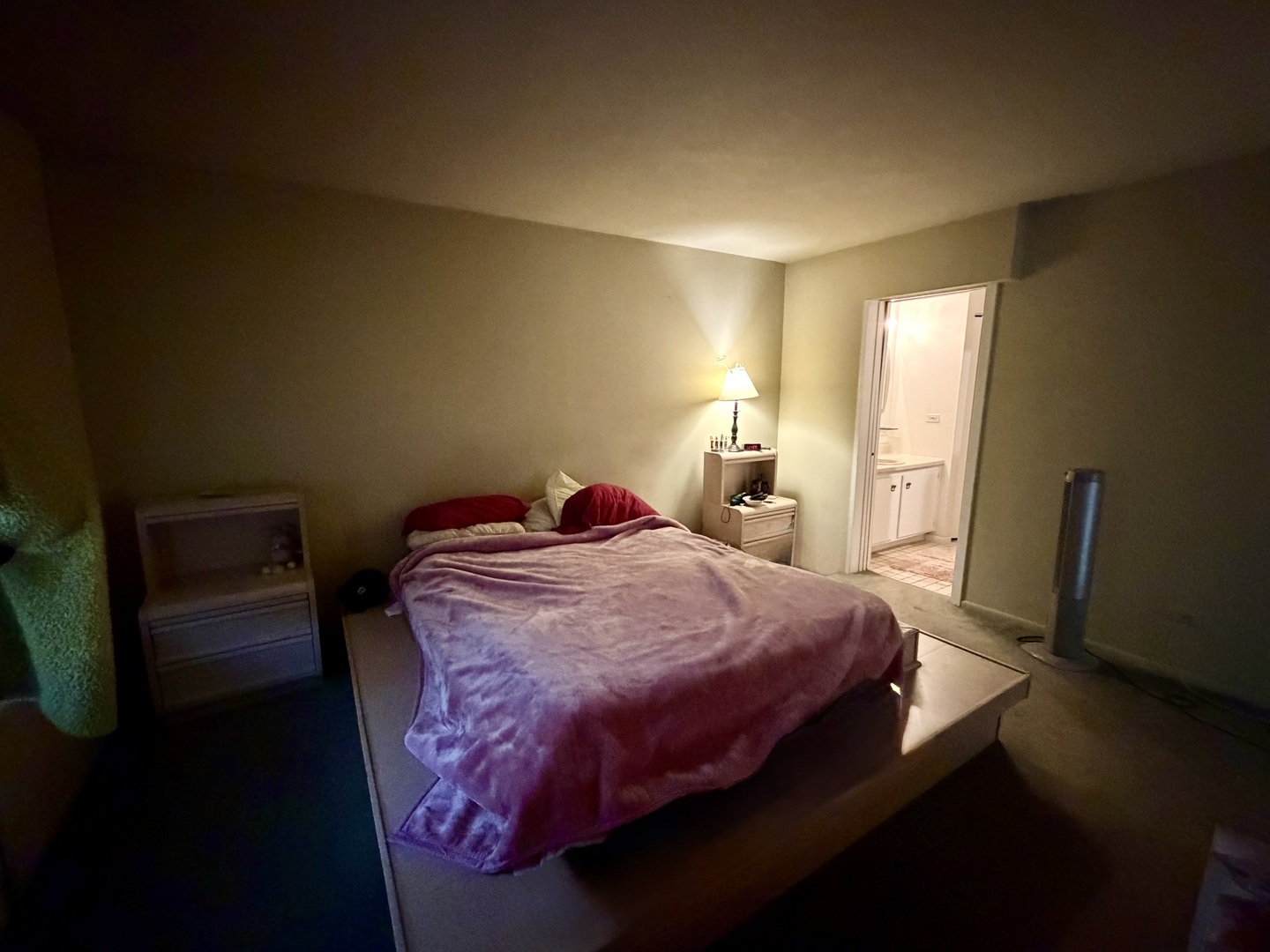 871 Coach Road, Unit 5 Palatine, IL 60074 - Photo 10 of 20 Gallery Image 10