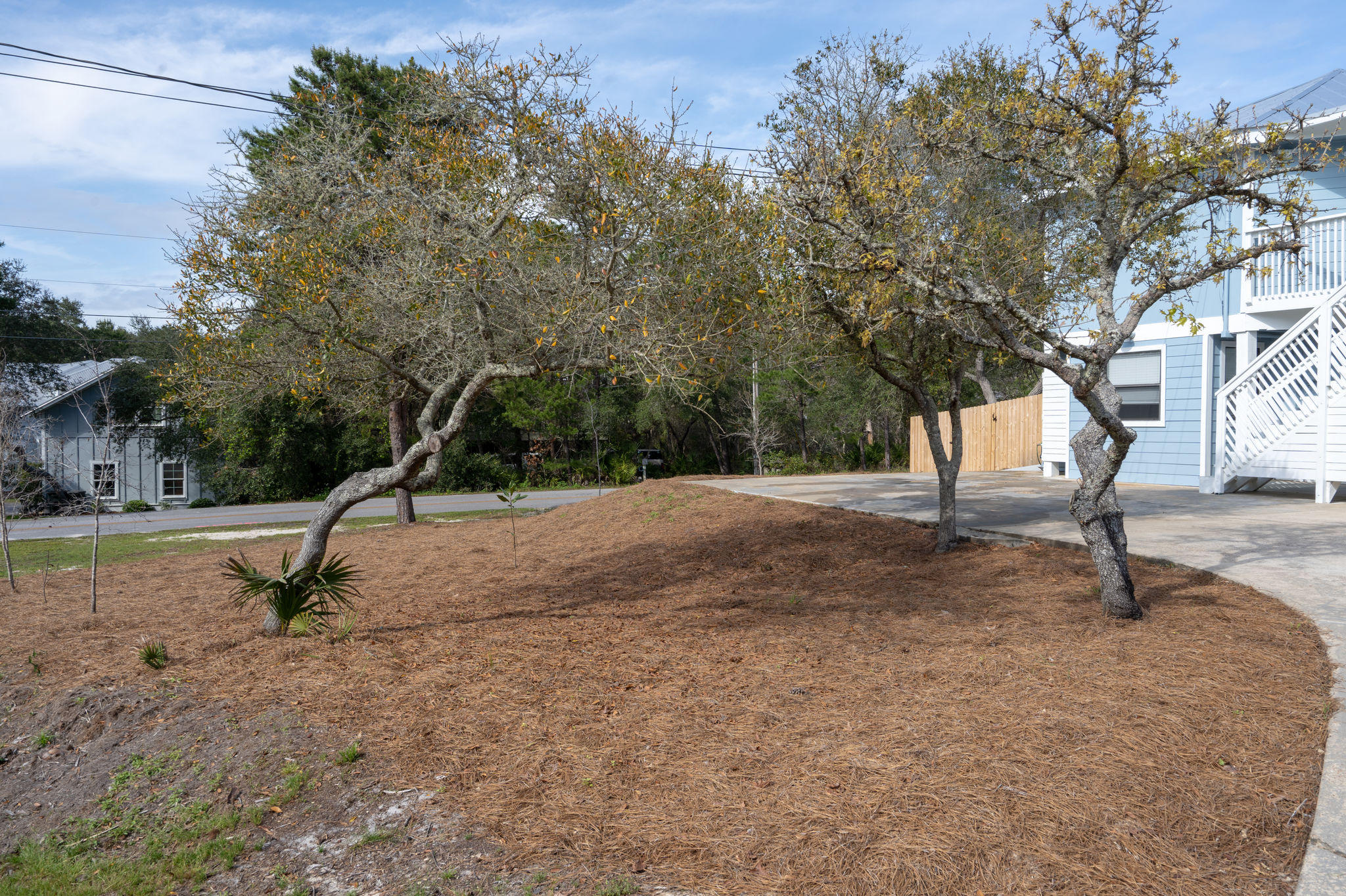 138 Crescent Road Santa Rosa Beach, FL 32459 - Photo 8 of 48 a view of a tree in a yard
