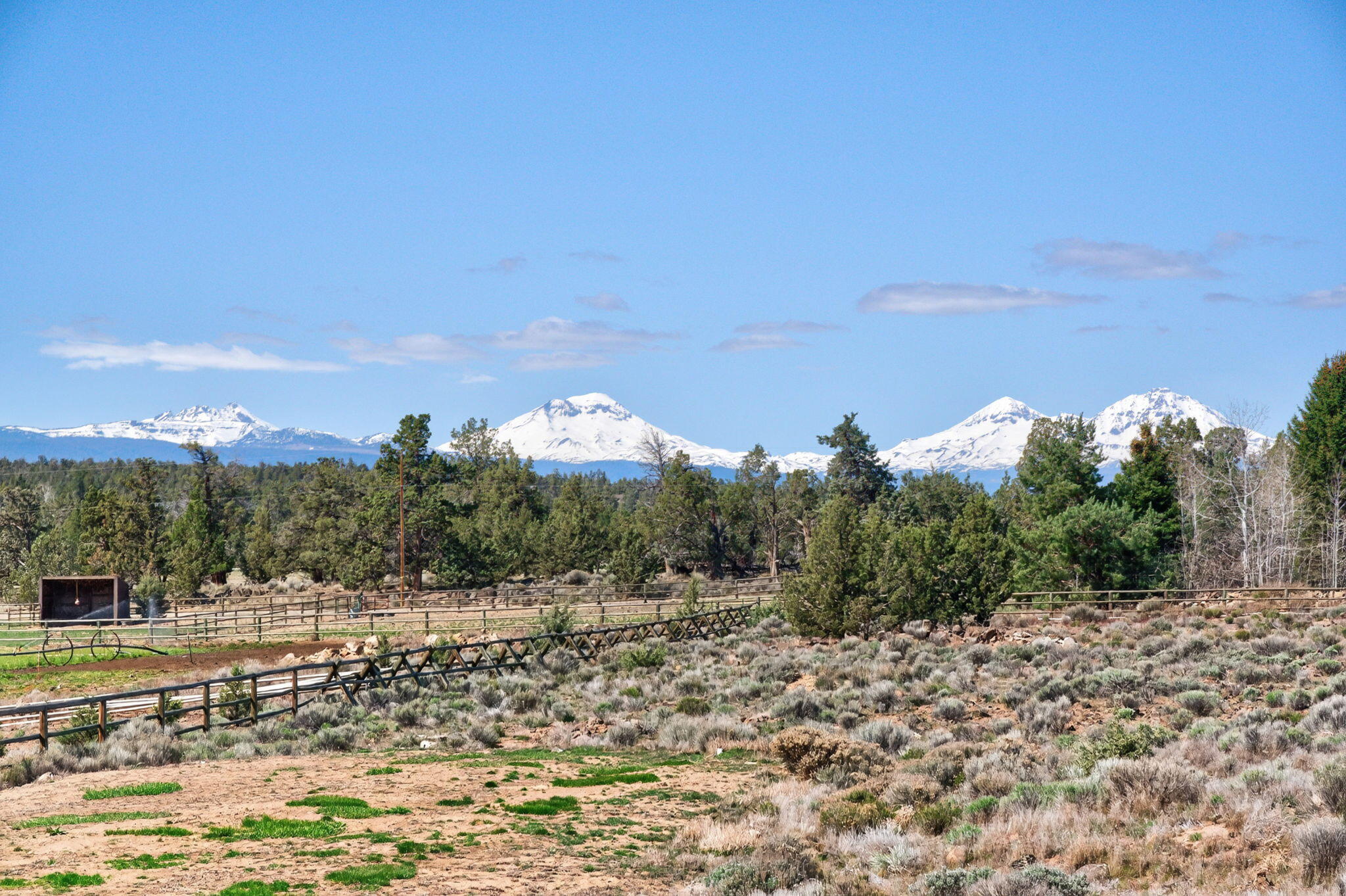 66355 Barr Road Bend, OR 97703 - Photo 53 of 56 a view of a yard