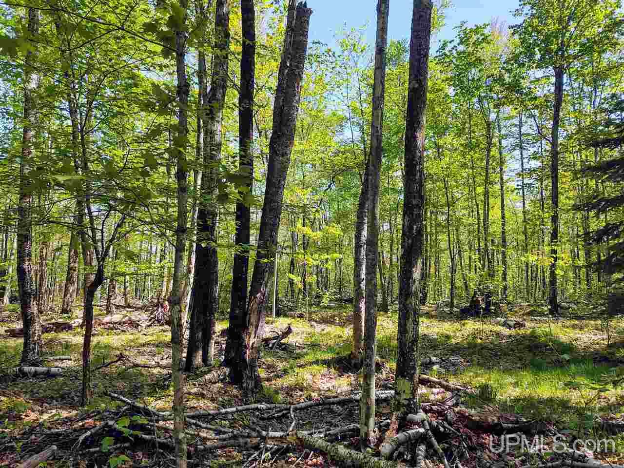 Tbd-parcel Point Abbaye Road Lanse, MI 49946 - Photo 19 of 26
