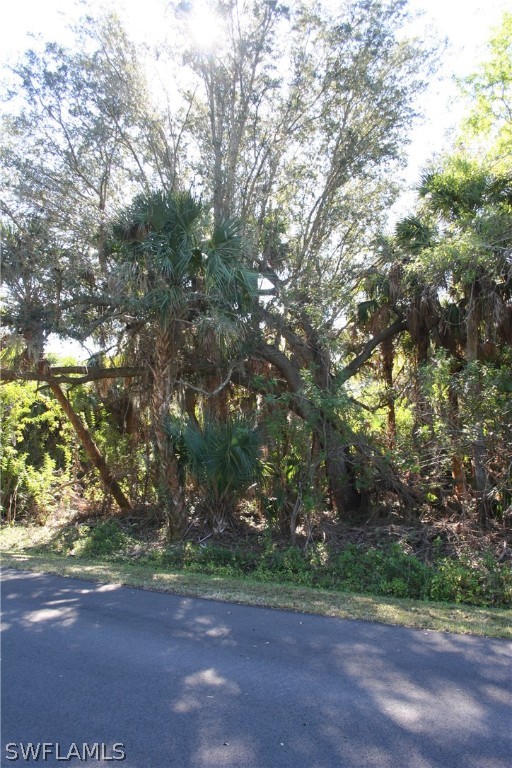 26127 Glaspell Road Punta Gorda, FL 33955 - Photo 2 of 2 a view of a field with trees in background