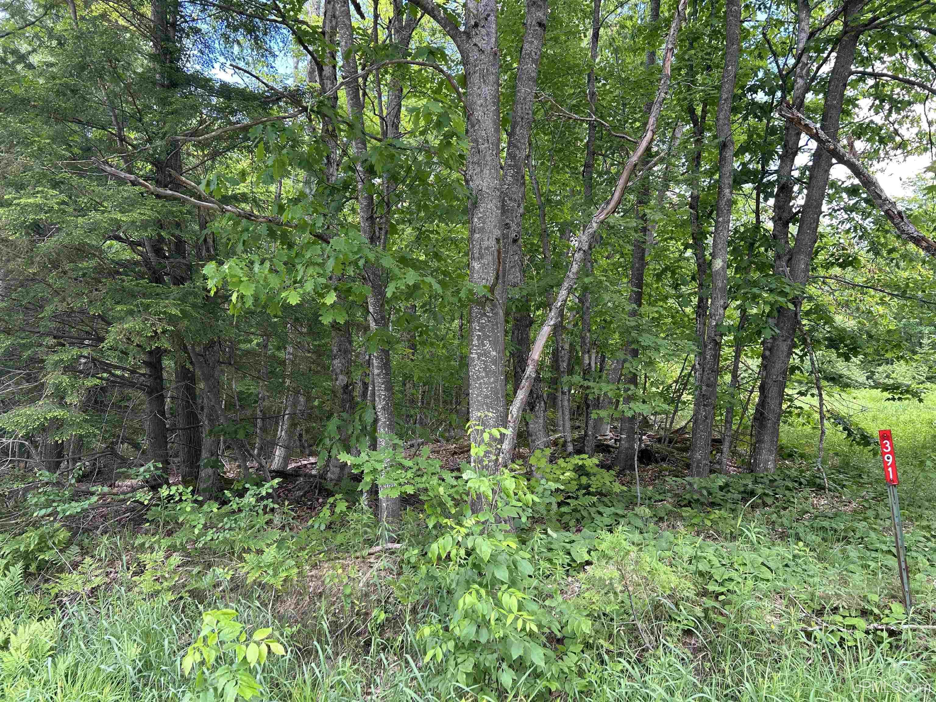Tbd North Carlshend Road Skandia, MI 49885 - Photo 3 of 6