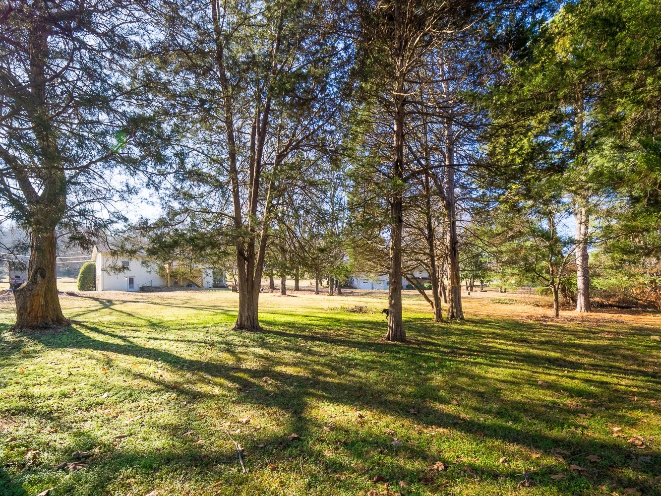 5116 Hilson Road Nashville, TN 37211 - Photo 17 of 18 Gallery Image 17
