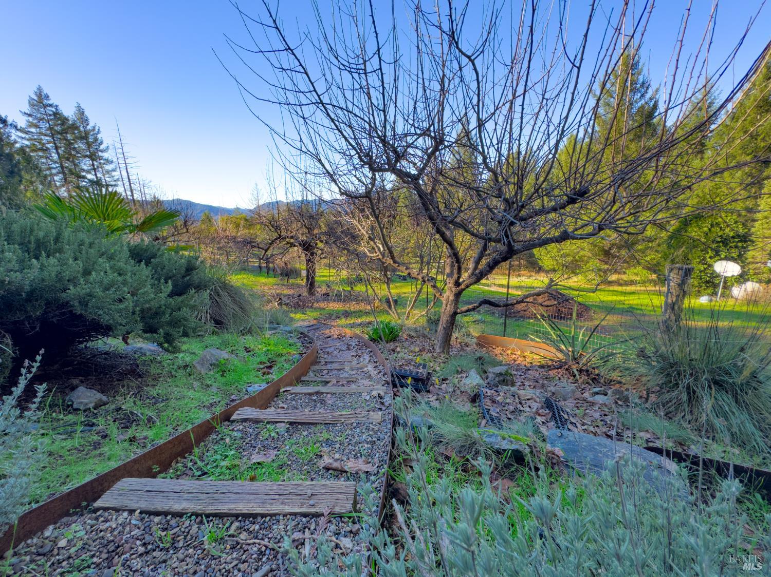14475 Poonkinney Road Dos Rios, CA 95429 - Photo 21 of 25 a view of a yard with plants and trees